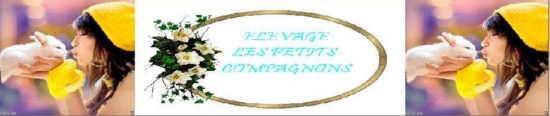 élevage de lapin nain en Var (83)