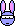 smiley lapin